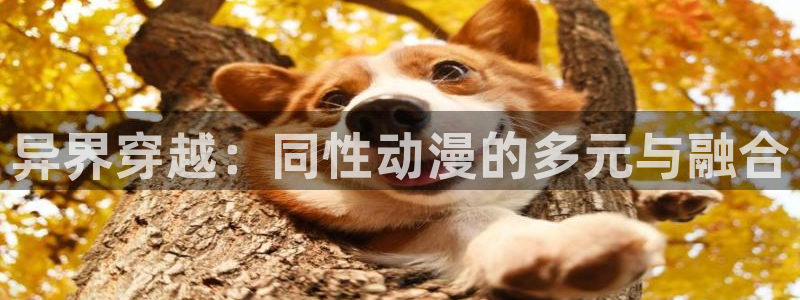 最新里番