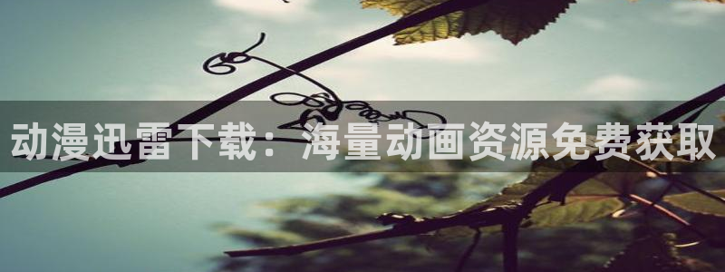 里番acg漫画网：动漫迅雷下载：海量动画资源免费获取