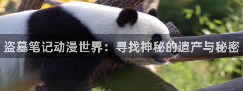 漫画h里番：盗墓笔记动漫世界：寻找神秘的遗产与秘密