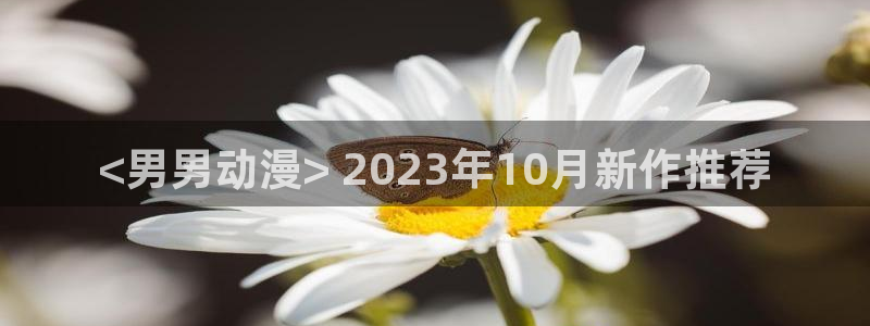 日漫里番：<男男动漫> 2023年10月新作推荐