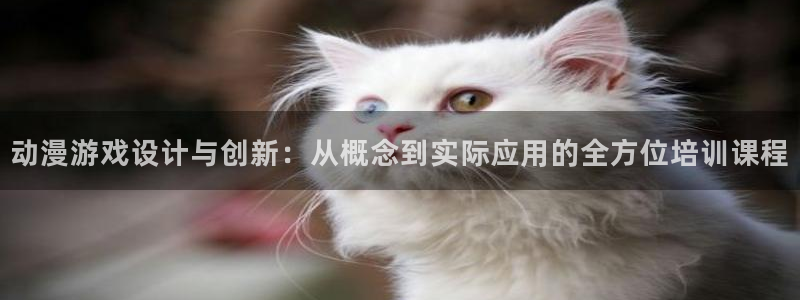 里番动漫免费网站：动漫游戏设计与创新：从概念到实际应用的全方位培训课程