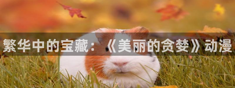 色里番动漫：繁华中的宝藏：《美丽的贪婪》动漫