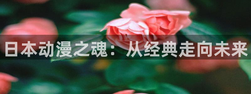 里番 动画：日本动漫之魂：从经典走向未来