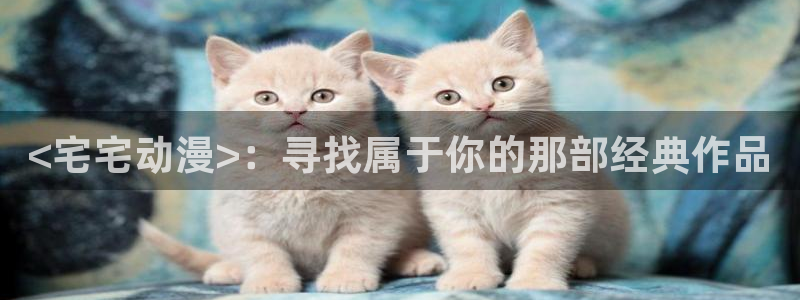 同人动漫里番：<宅宅动漫>：寻找属于你的那部经典作品
