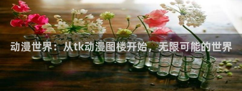 3d动画里番：动漫世界：从tk动漫图楼开始，无限可能的世界