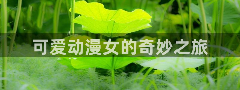 综漫里番小说：可爱动漫女的奇妙之旅
