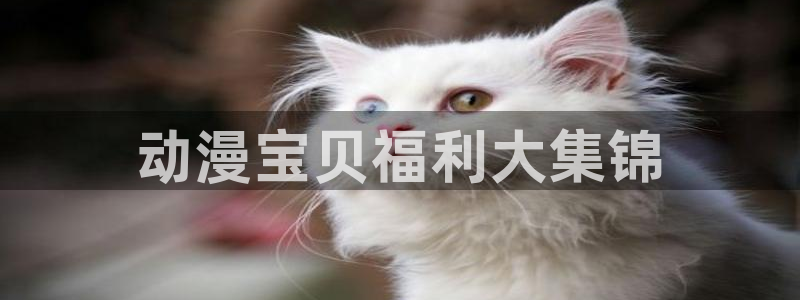 日本漫画里番全彩：动漫宝贝福利大集锦