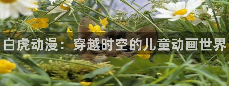 动漫肉里番：白虎动漫：穿越时空的儿童动画世界