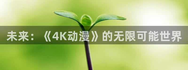 绅士漫画里番：未来：《4K动漫》的无限可能世界