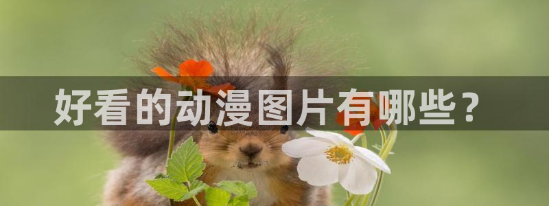 口工漫画里番：好看的动漫图片有哪些？