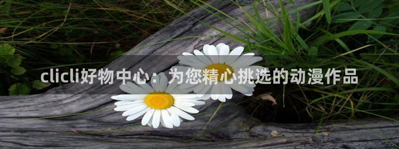 看里番动漫网站