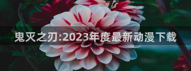 里番动漫中文字幕