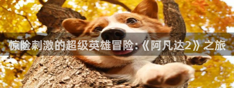里番动漫大全