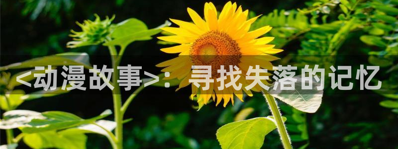 2026里番动漫