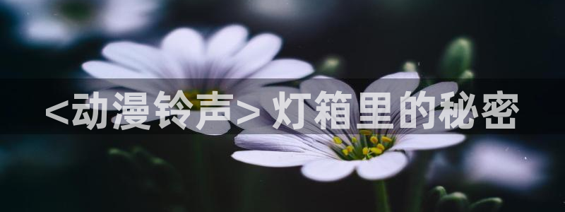 动漫里番本子库：<动漫铃声> 灯箱里的秘密