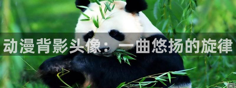 里番动漫本子：动漫背影头像：一曲悠扬的旋律