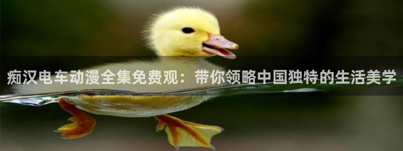 日本里番漫画全彩：痴汉电车动漫全集免费观：带你领略中国独特的生活美学