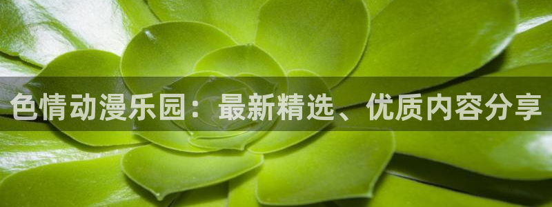 旧里番动漫：色情动漫乐园：最新精选、优质内容分享
